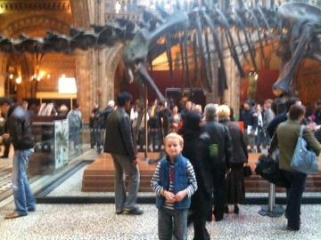 But today it is the Natural History Museum