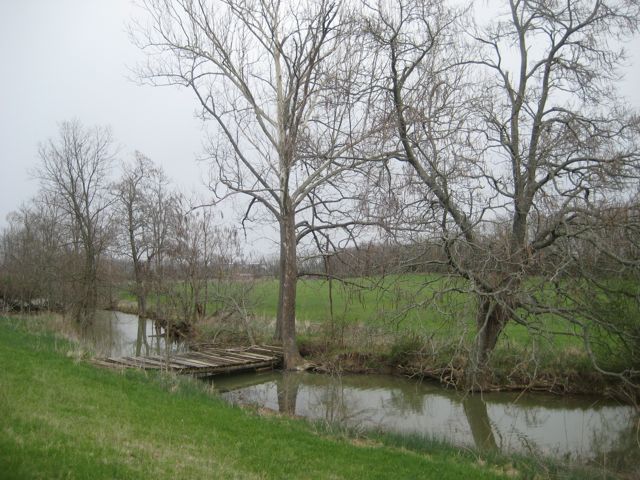 The creek
