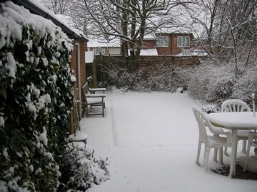 Back home in Kenilworth the snow falls